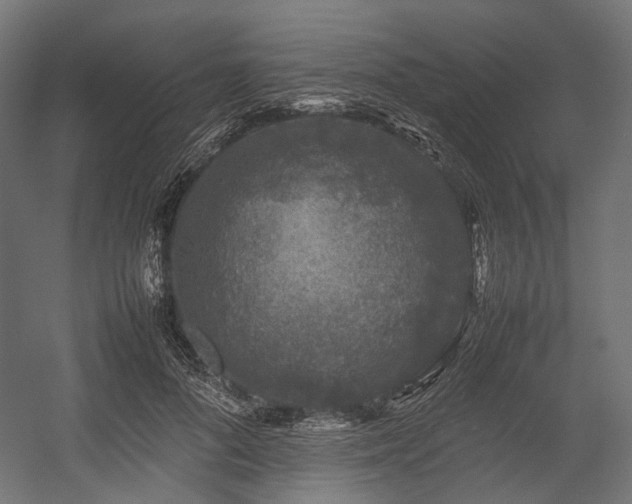 X0000054390696200507291144