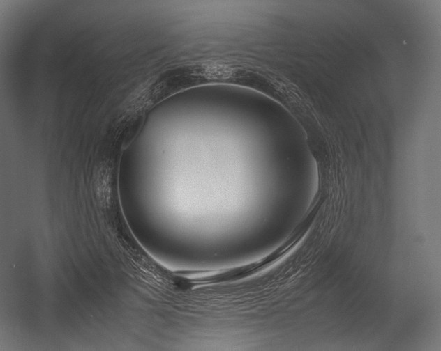 X0000054390697200507291144