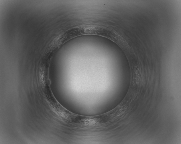 X0000054390698200507291144