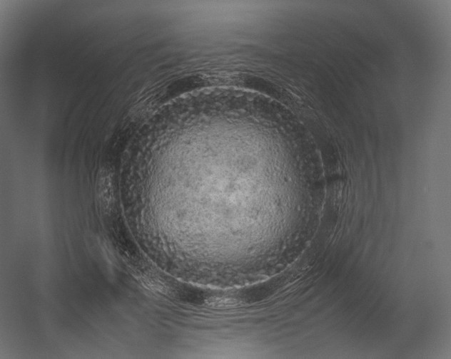 X0000054390699200507291144