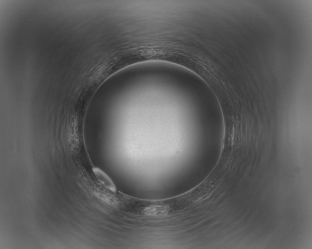 X0000054390700200507291144
