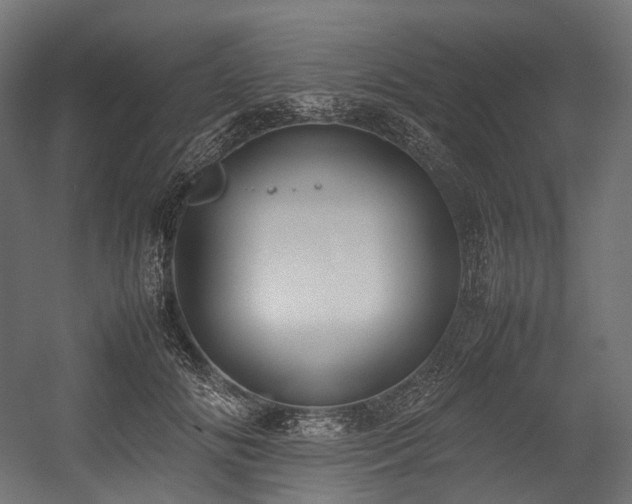 X0000054390702200507291144