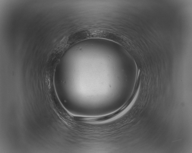 X0000054390703200507291144