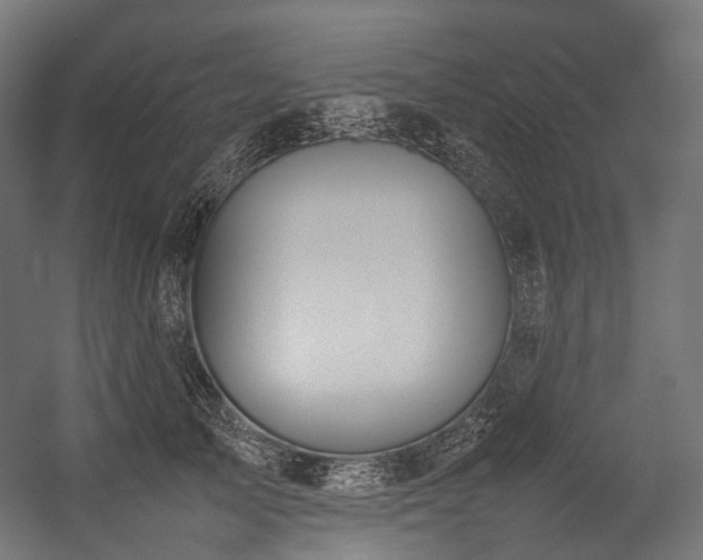X0000054390705200507291144