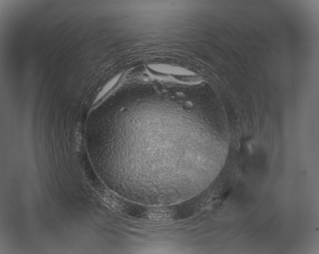 X0000054390707200507291144