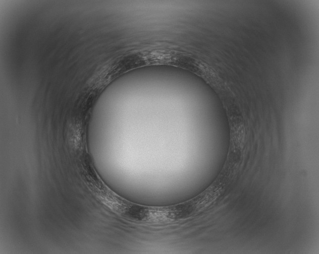 X0000054390709200507291144