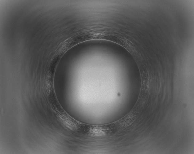 X0000054390710200507291144