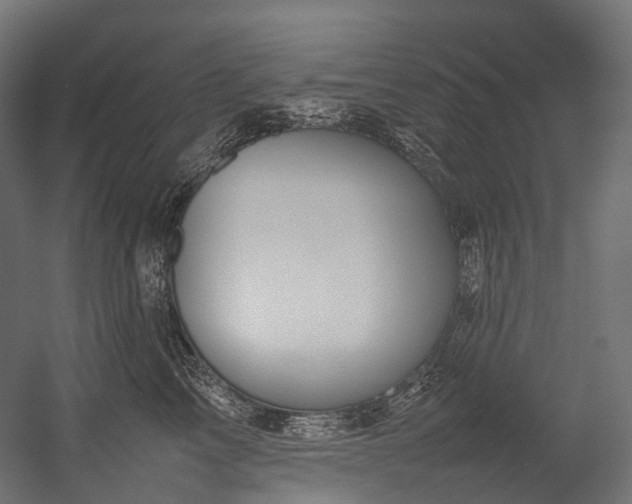 X0000054390713200507291144