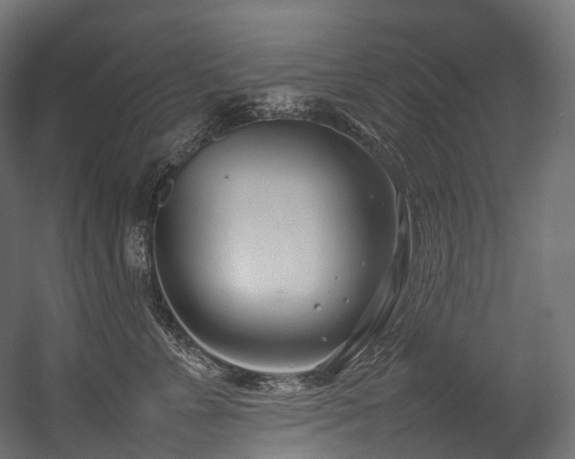 X0000054390715200507291144