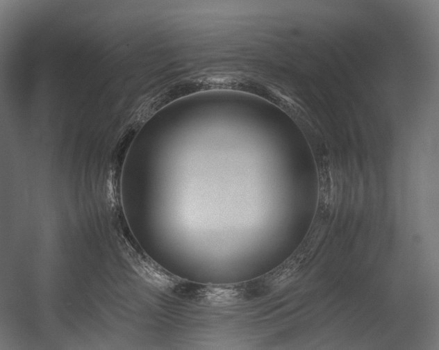 X0000054390718200507291143
