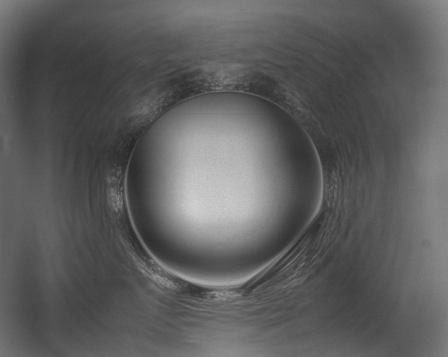 X0000054390719200507291143