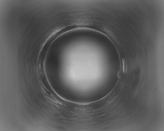 X0000054390723200507291143