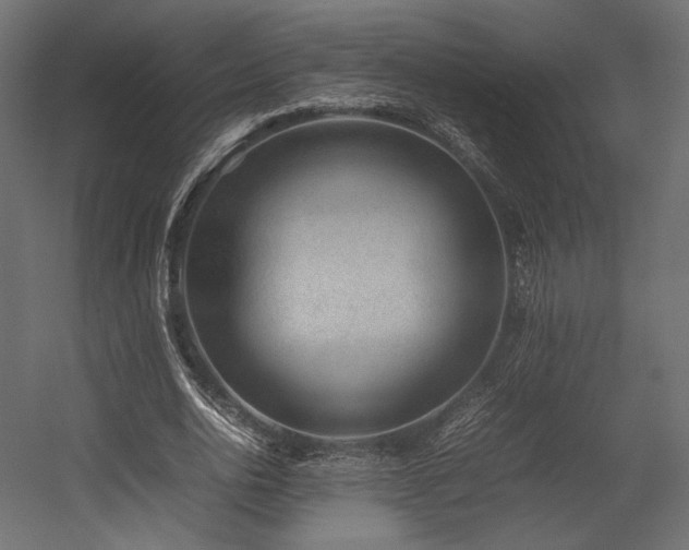 X0000054390726200507291143