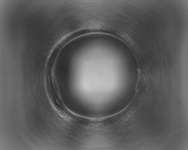 X0000054390728200507291143