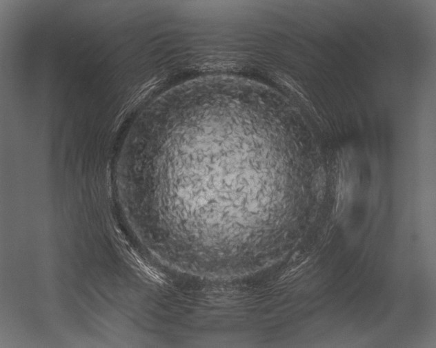 X0000054390729200507291143