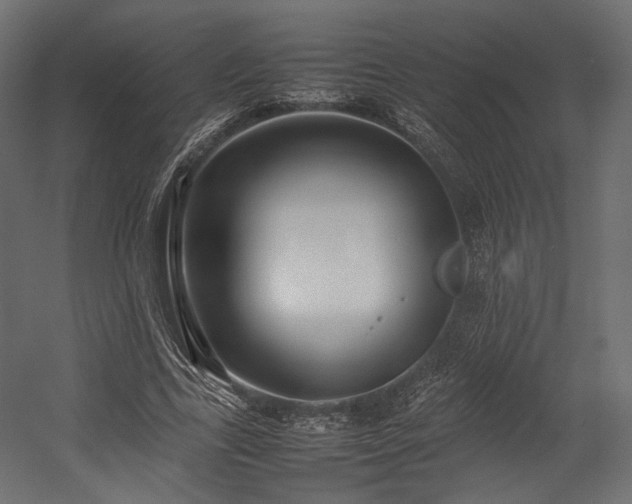 X0000054390731200507291143