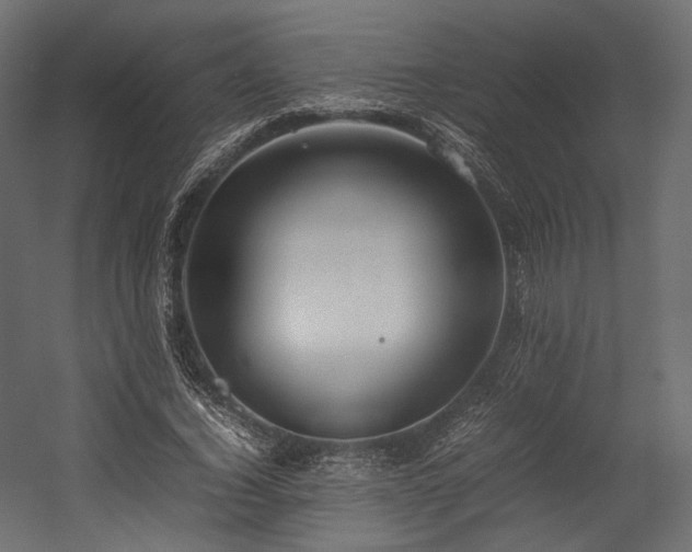 X0000054390732200507291143