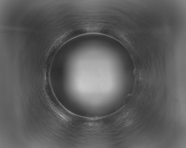 X0000054390733200507291143