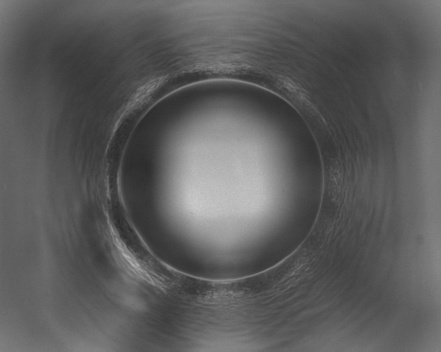 X0000054390734200507291143