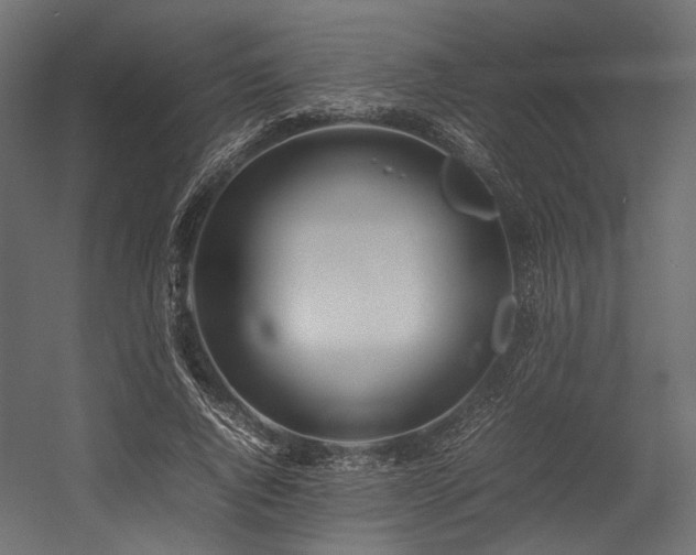 X0000054390736200507291143