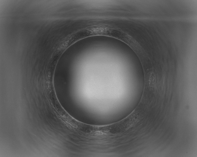 X0000054390737200507291143