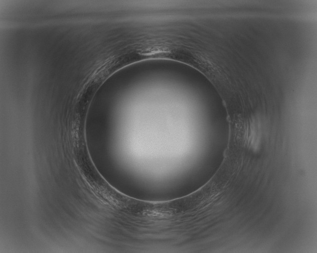 X0000054390739200507291143