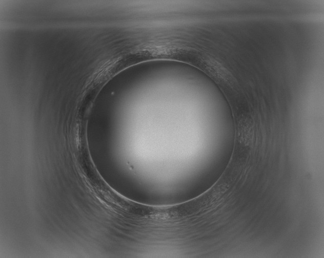 X0000054390740200507291143