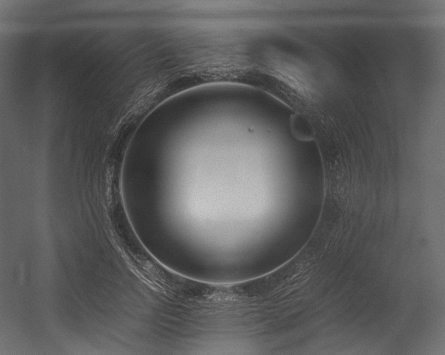 X0000054390742200507291143