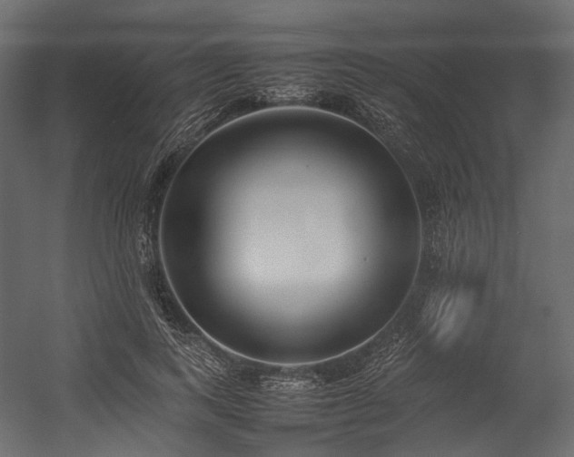 X0000054390743200507291143