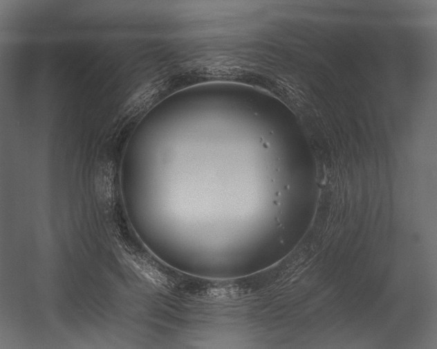 X0000054390744200507291143