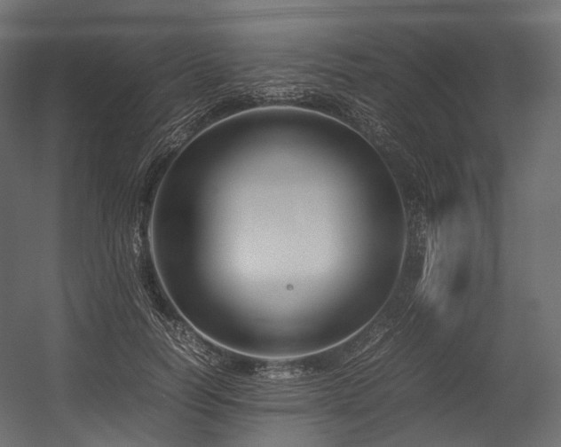 X0000054390746200507291143