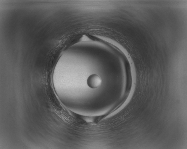 X0000054390750200507291143