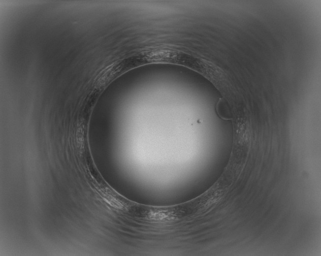 X0000054390753200507291143