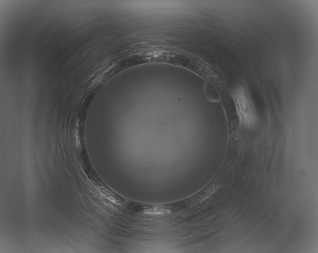 X0000054390754200507291143