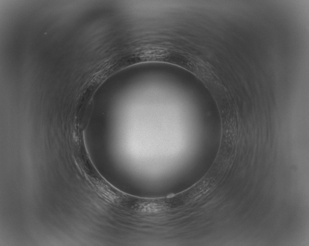 X0000054390755200507291143