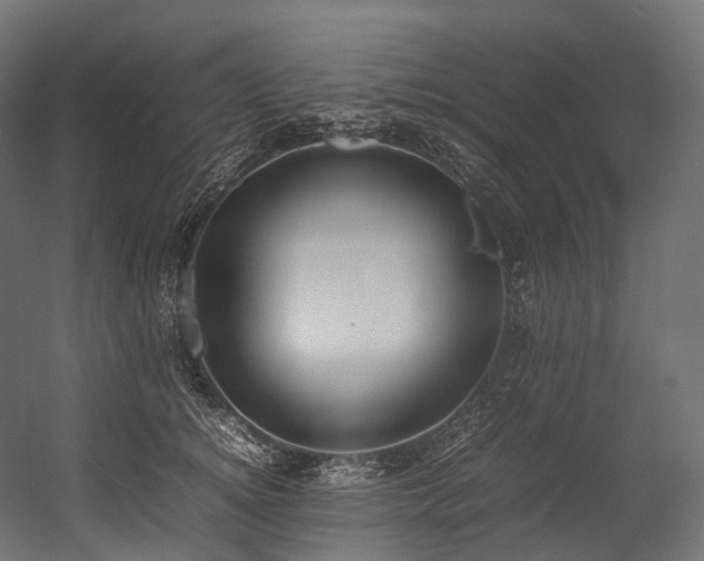 X0000054390756200507291143