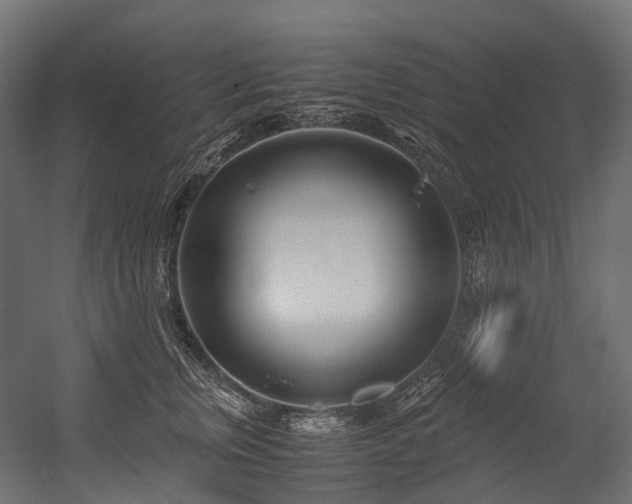 X0000054390759200507291143
