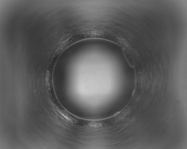 X0000054390760200507291143