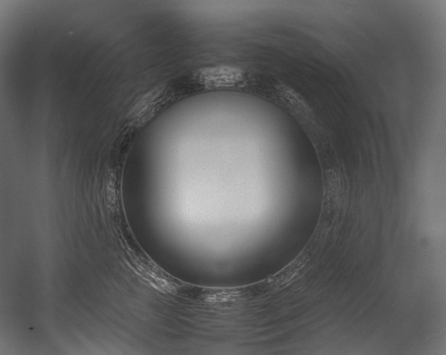 X0000054390761200507291143