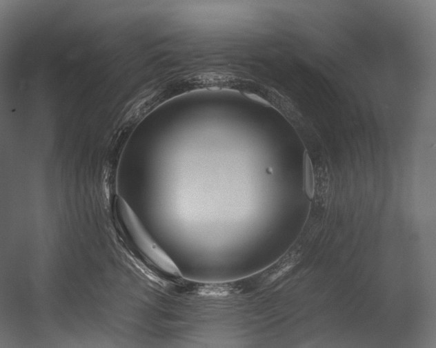X0000054390762200507291143