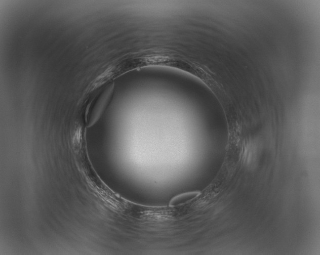 X0000054390763200507291143