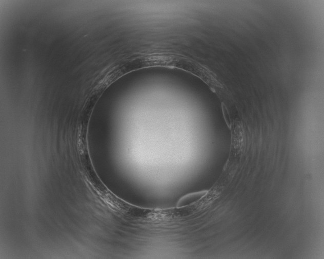 X0000054390764200507291143