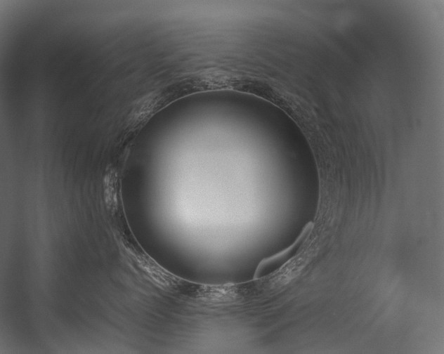 X0000054390768200507291143