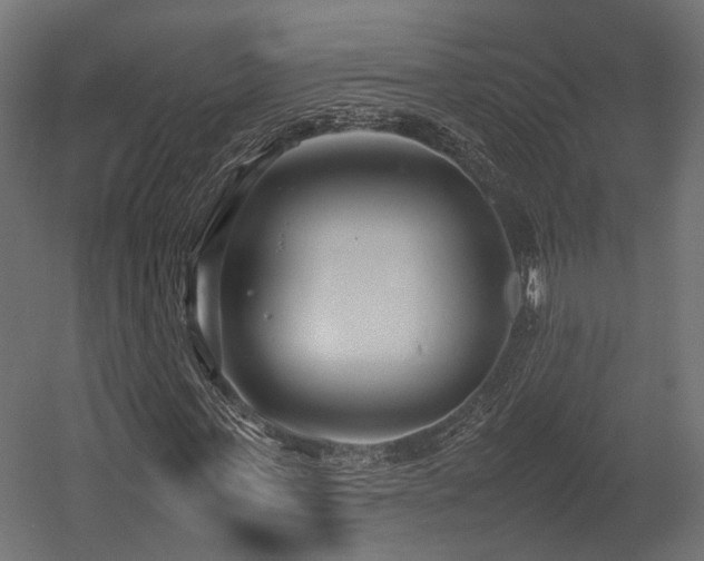 X0000054390771200507291143