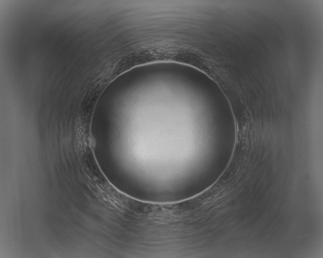 X0000054390772200507291143
