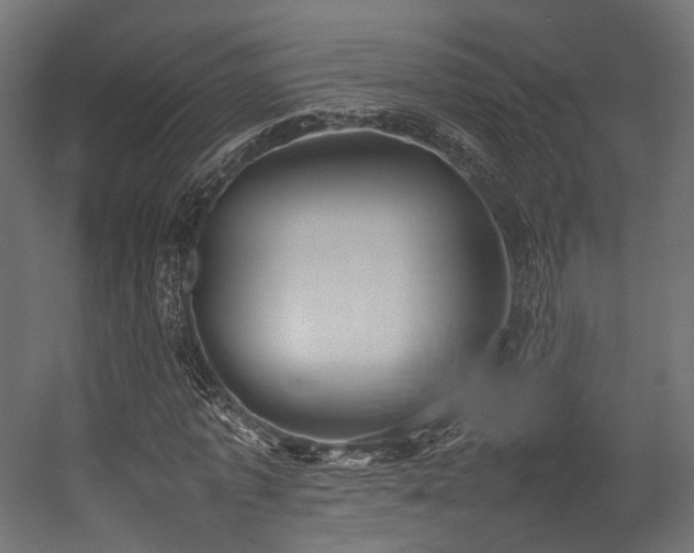 X0000054390773200507291143