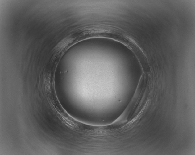 X0000054390777200507291142