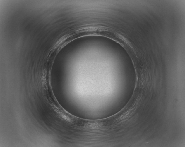 X0000054390778200507291142