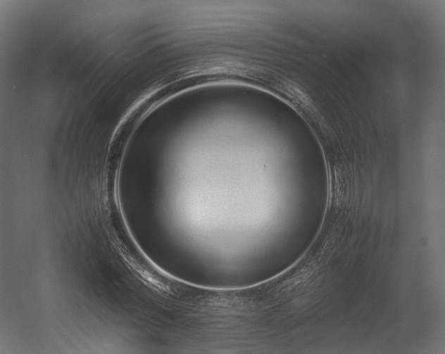 X0000054390780200507291142