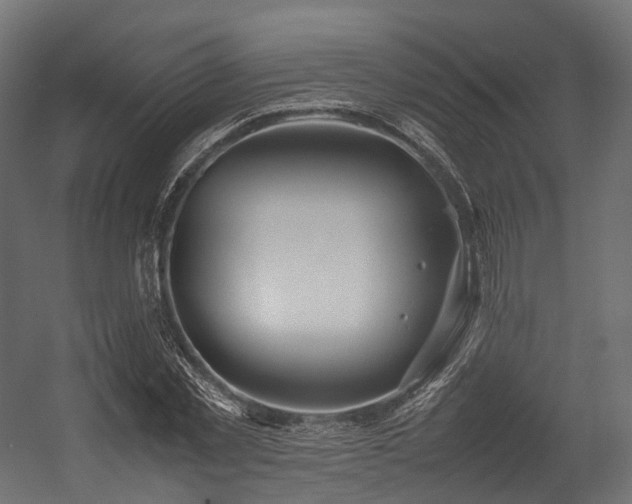 X0000054390781200507291142